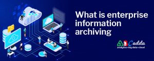 What is an enterprise information archiving